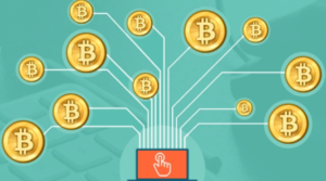 Ini Coin Pemenang Dan Kalah Saat BTC didump Dan BCH dipump