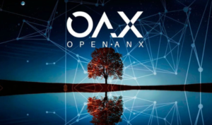 Intip Cara Mudah Membaca Grafik Cryptocurrency OAX Hanya 5 Menit!