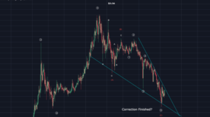 RIPPLE (XRP) Sangaja Diciptakan Untuk Memberikan Keuntungan Tersadis!!