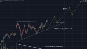 Analisis BitShares (BTS) Dengan Pontensi PROFIT 1.400%  !!