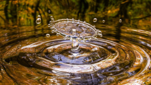 Thomas Lee Memprediksi Harga Ethereum Akan Tembus 1900usd Tahun Depan!