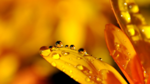 Inilah 8 Airdrops Terbaik Yang Harus Diperhatikan Pada Bulan Oktober 2018