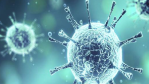 Akibat Virus Corona Banyak Acara Terkait Crypto di Batalkan