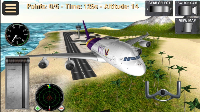 Flight Simulator: Fry Plane 3D