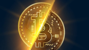 Prediksi Halving Bitcoin 2020 dari Ahli Crypto Terbaik Dunia