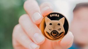 SHIB Menjadi Koin 11 Teratas, Berada Tepat di Belakang DOGE di CoinGecko