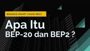 Pengertian BEP-20 dan BEP2 Dari Binance Smart Chain