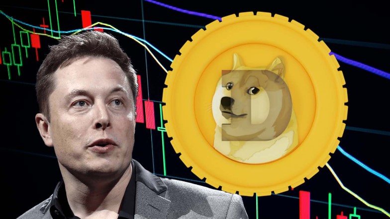 Elon Musk Dituntut oleh Investor Dogecoin
