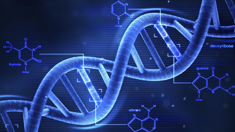 Asal usul DNA Manusia