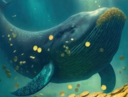 Whale Akumulasi Tether dan Tradecurve Pasca Pasar Drop