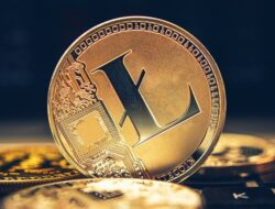 Dampak pada Penambangan dan Hashrate Setalah Litecoin Halving