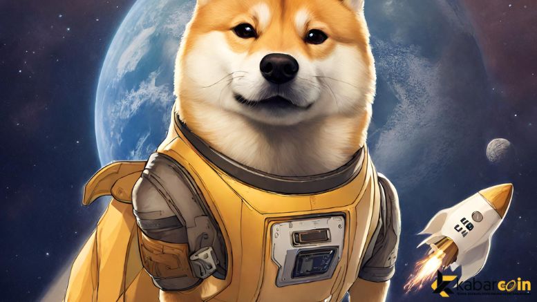 SpaceX Menerima Dogecoin