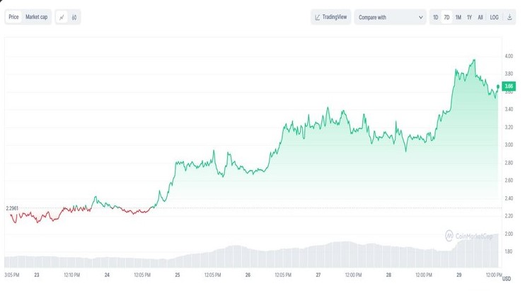 Dogwifhat Memecoin grafik Dogwifhat Memecoin grafik