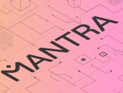 Blockchain MANTRA Ajukan Lisensi Keuangan Dasar di Uni Emirat Arab