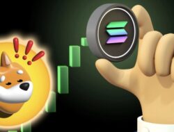 10 Meme Coins Solana Teratas yang Tidak Boleh Anda Lewatkan