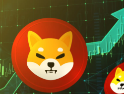 Tim Shiba Inu Peringatkan Meningkatnya Penipuan di Platform Shibarium