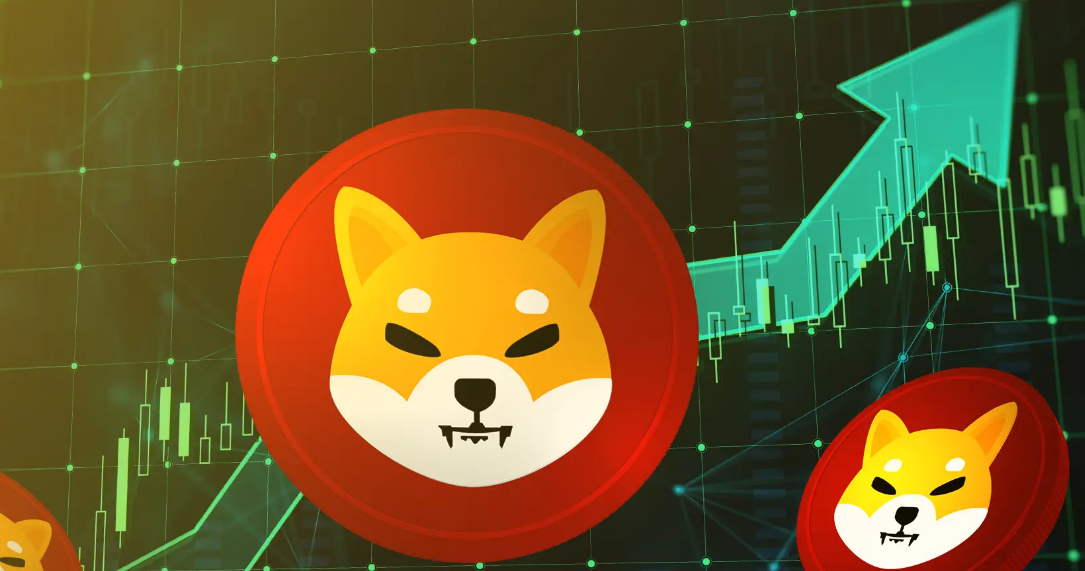 Tim Shiba Inu
