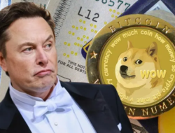 Elon Musk dan Dogecoin, Ketika Meme Menjadi Pemicu Lonjakan Harga Kripto