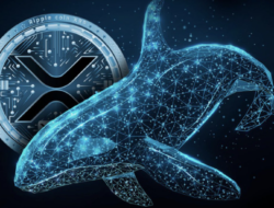 AliWhales dan Langkah Besarnya, Memborong 120 Juta XRP di Tengah Penurunan Harga
