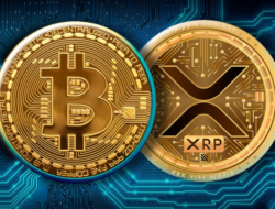 XRP vs Bitcoin, Mana yang Lebih Baik untuk Investasi Jangka Panjang?