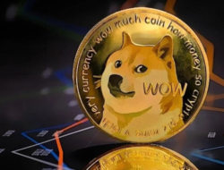 Dogecoin dan Mutuum Finance Siap Panen Besar? Inilah Yang Perlu Kamu Tahu Sebelum Terlambat