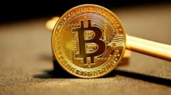 Hari Dasar Bitcoin